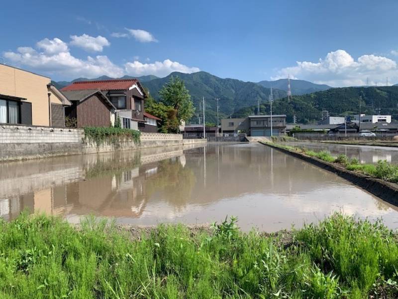 西条市飯岡  の外観写真