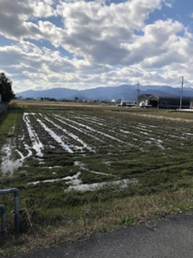 西条市小松町新屋敷  の外観写真