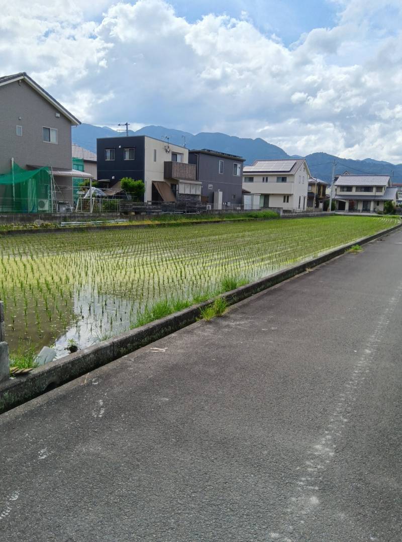 西条市丹原町池田 の外観写真