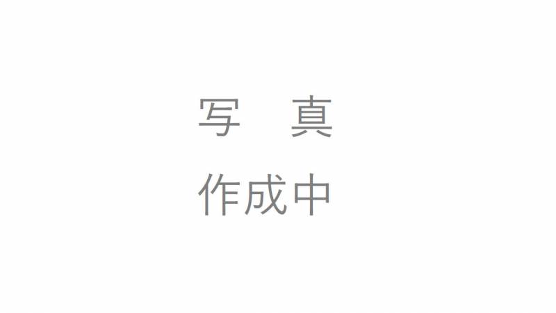 サーパス桟橋通二丁目 802 の間取り画像