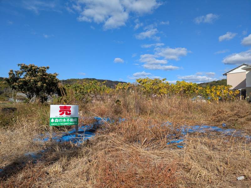 安芸市川北甲 の外観写真