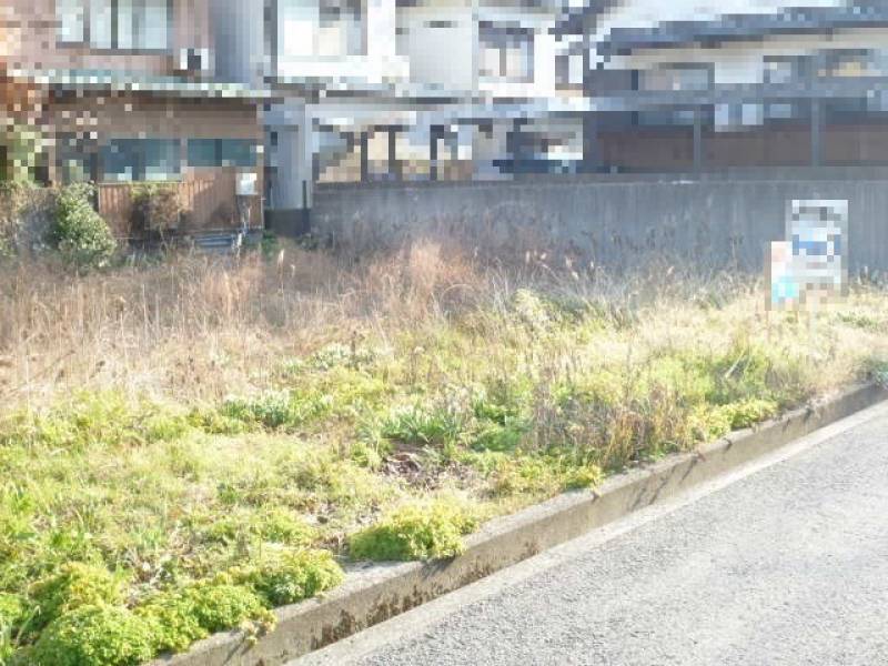 吾川郡いの町枝川  の外観写真