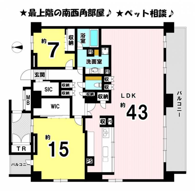 レーベン松山一番町THETOWER の間取り画像