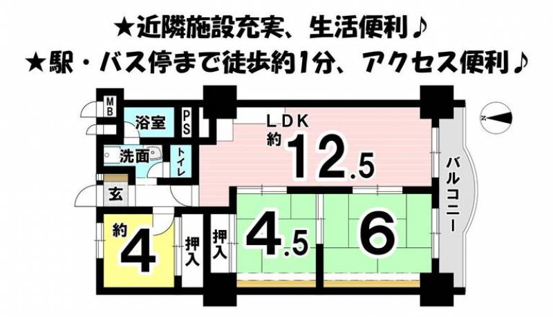 プレジデント松山 の間取り画像