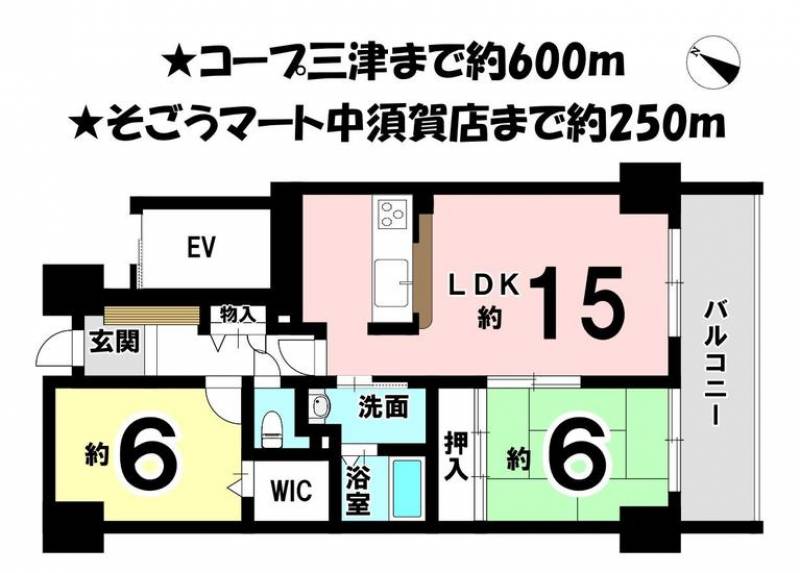 サーパス三津壱番館 の間取り画像