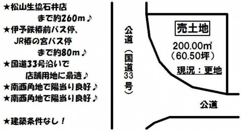 松山市越智  の区画図