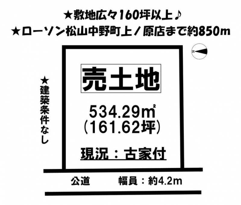 松山市津吉町  の区画図