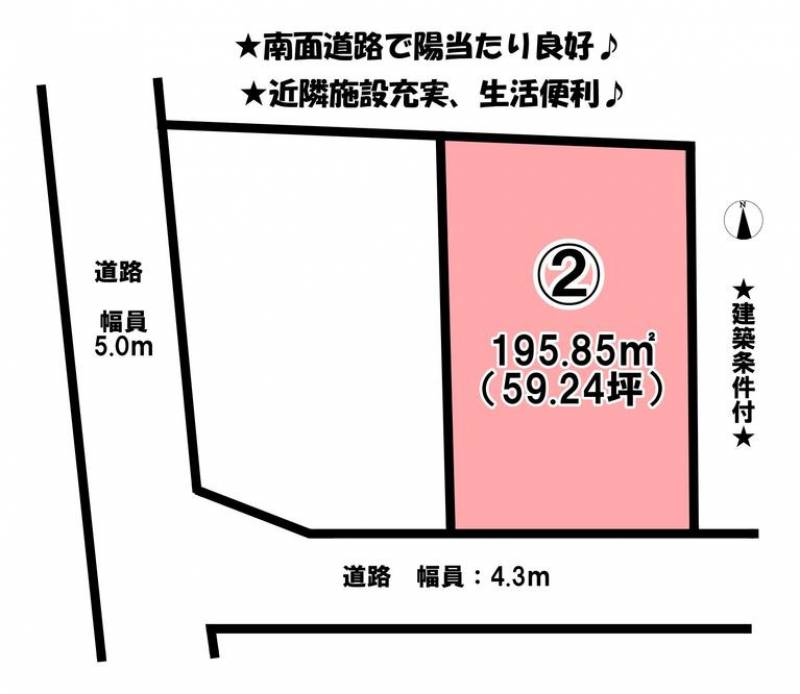 松山市桑原  の区画図