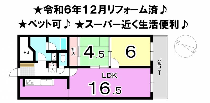 チュリス道後 の間取り画像