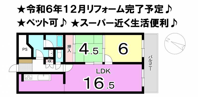 チュリス道後 の間取り画像