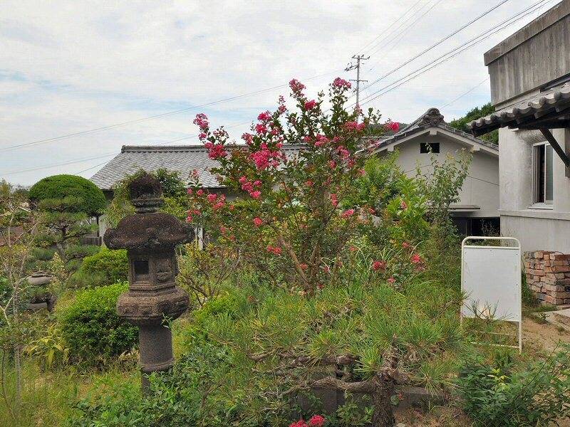 松山市梅津寺町 一戸建 の外観写真