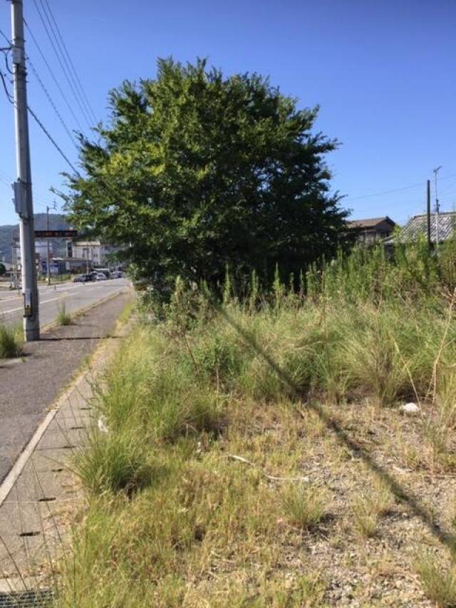 香川県高松市郷東町 高松市郷東町   物件写真1