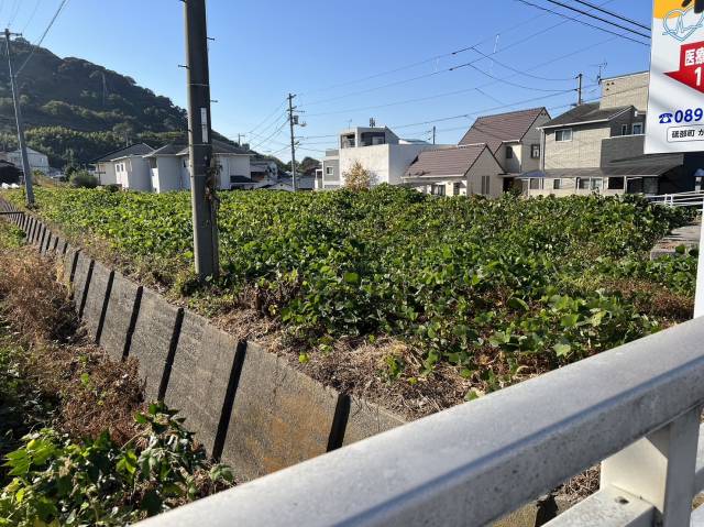 伊予郡砥部町重光263-1 重光　貸土地  物件写真1