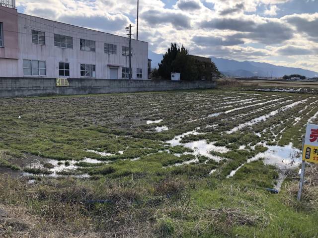 西条市小松町新屋敷 西条市小松町新屋敷   物件写真1