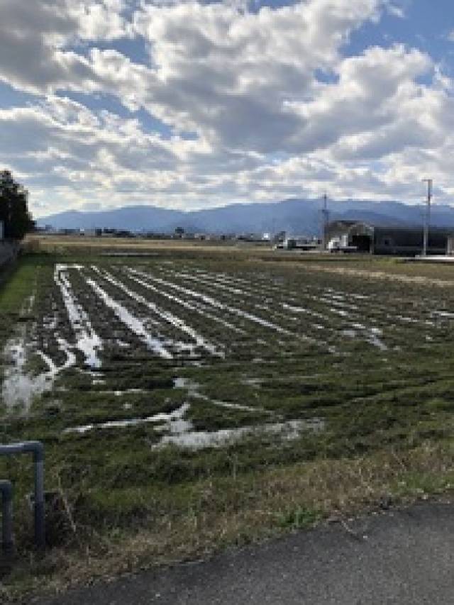 西条市小松町新屋敷 画像2枚目