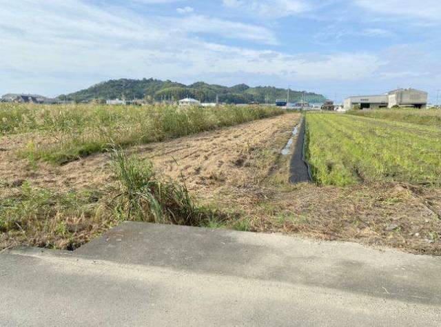 愛媛県新居浜市多喜浜２丁目 新居浜市多喜浜   物件写真1