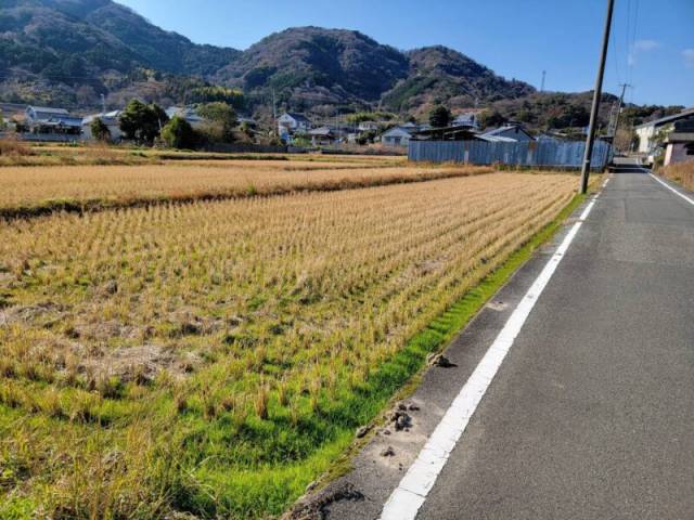 松山市浄瑠璃町甲921-1他 松山市浄瑠璃町  物件写真1