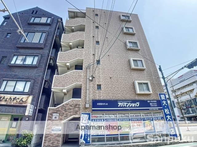 松山市平和通２丁目 プチメゾン和 605 物件写真1