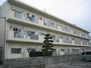 四国洋行ハイツ　川之江の3K賃貸マンション 113の外観写真