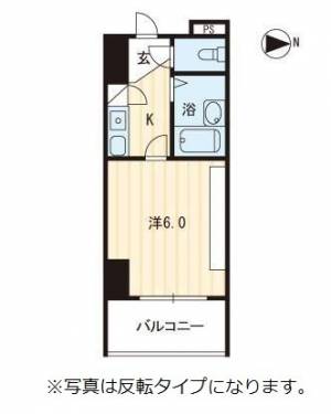 セブンシーズ入明アネックス 203の間取り画像