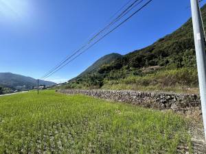 伊予市双海町上灘 の外観写真