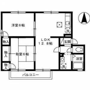 ヴィラアスカ30C棟 101の間取り画像