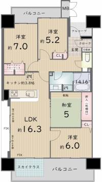 高松市中央町13-5 ロイヤルガーデン中央町 の間取り