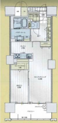 高松市南新町 アルファステイツ南新町タワーレジデンス 1504の間取り