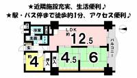 松山市本町6丁目 プレジデント松山 の間取り