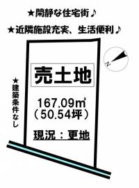 愛媛県松山市新石手 松山市新石手  の区画図