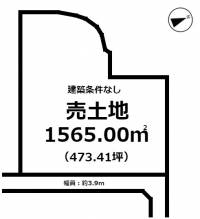 愛媛県松山市新浜町 松山市新浜町  の区画図