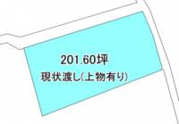 西条市坂元甲 西条市坂元甲  の区画図