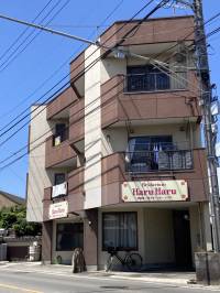 松山市土居田町494-7 next土居田 301号の外観