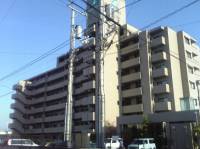 松山市三杉町1-15サーパス三杉 の外観