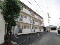 松山市辻町277-4 松山市辻町 の外観