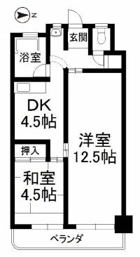 愛媛県松山市三番町8丁目354番4 第一ホワイトコーポ の間取り