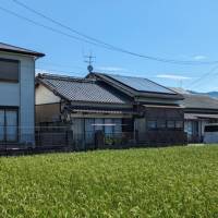 高知県安芸市土居 安芸市土居 一戸建 の外観