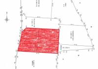 高知県香南市野市町下井1189-1 香南市野市町下井  の区画図