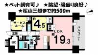 愛媛県松山市一番町１丁目 レーベン松山一番町THETOWER の間取り