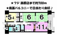 愛媛県松山市室町２丁目 サンシティ市駅南 の間取り