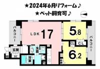 愛媛県松山市三番町４丁目 ヴァン・ヴィヴァン三番町 の間取り