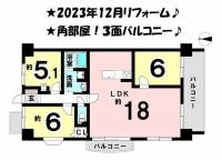 愛媛県松山市萱町６丁目 ダイアパレスシャトーヴュー萱町 の間取り