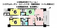 愛媛県松山市祝谷町１丁目 アルファライフ道後 の間取り