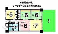 愛媛県松山市大手町２丁目 労住協大手町ハイツ の間取り