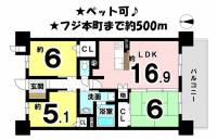 愛媛県松山市山越１丁目 アルファステイツ本町六丁目 の間取り