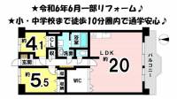 愛媛県松山市石手５丁目 サントノーレ石手 の間取り