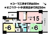 愛媛県松山市辰巳町 サーパス三津壱番館 の間取り