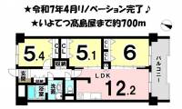 愛媛県松山市室町２丁目 サンシティ市駅南 の間取り