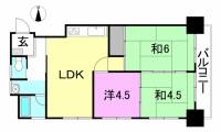 松山市三番町8丁目 第一ホワイトコーポ の間取り