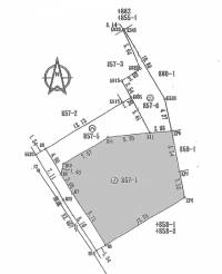 松山市松ノ木1丁目 松山市松ノ木  の区画図